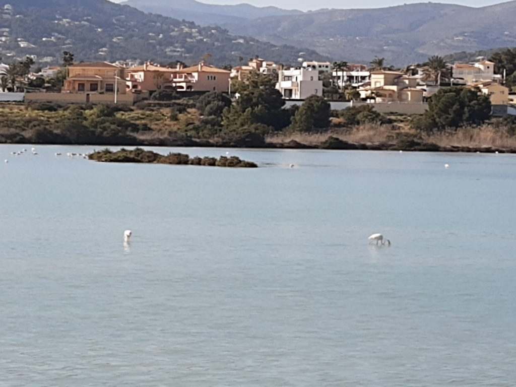 Salinas de Calpe